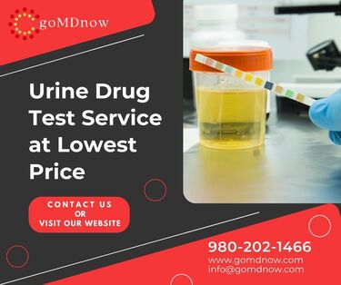 The Most Innovative Things Happening with Urine Drug Test Full Service