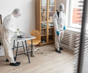 Preventing Termite Damage in Office Complexes and Retail Spaces