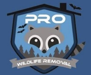 Pro Wildlife Removal