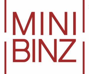 Mini Binz – Niagara’s Hassle-Free Dumpster Rental Solution