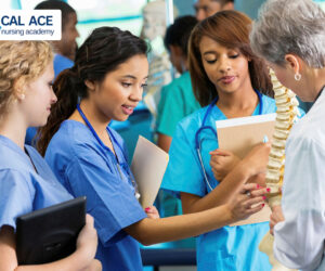 How Do You Know If a CNA School in the USA Is the Right Fit for You?