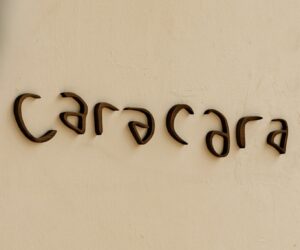 CARACARA