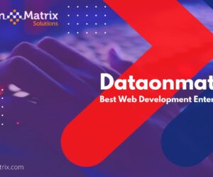 Professional IT Solutions & Software Services | DataOnMatrix