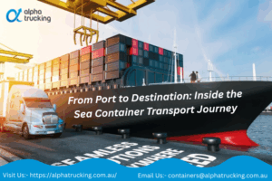 Sea Container Transport 