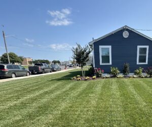 Find Your Perfect Landscape Partner: Introducing Our Network of Experts