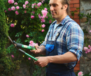 Wigan Tree Services
