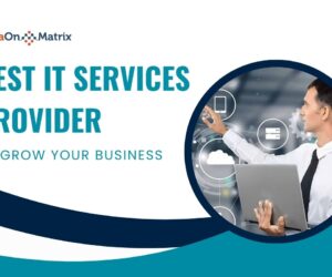 Choose the Best IT Services Provider to Grow Your Business
