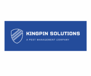 Kingpin Solutions Pte Ltd