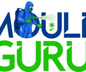 Mould Guru
