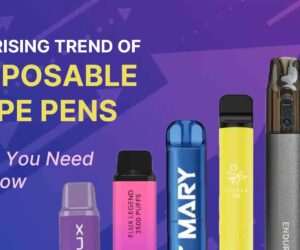 Why Smokersheap is the Best Platform to Buy Branded Vapes in USA
