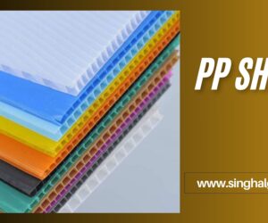 A Complete Guide to PP Sheets: Versatile, Durable & Cost-Effective
