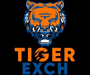 Tigerexch247ID: Redefining Fantasy IPL Strategy
