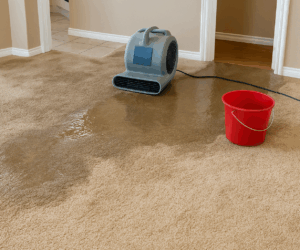 Water Damage Woes? Here’s What to Do Before It Gets Worse