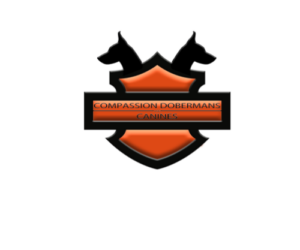Compassion Dobermans and Canine: A Trusted Name in Doberman Breeding in Indiana 🐾