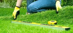 A Comprehensive Guide to Healthy Lawns in Vancouver, WA