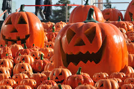 Creative Pumpkin Decor Ideas You’ll Love