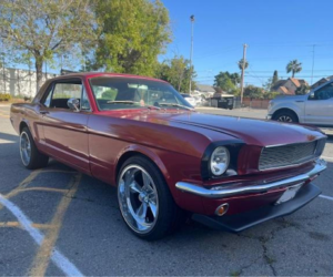 Are Alabama Car Auctions Open to the Public? Find Out Here