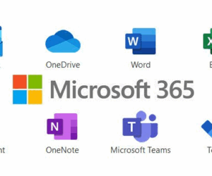Overcoming Microsoft 365 Challenges: Partner with a Consulting Expert