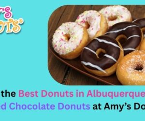 Discover the Best Donuts in Albuquerque: Healthy Baked Chocolate Donuts at Amy’s Donuts