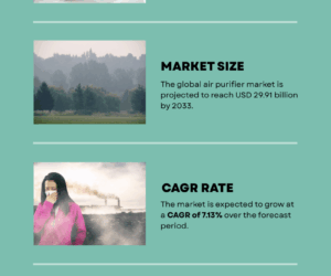 Air Purifier Market Insights 2025-2033| Growth & Opportunity Analysis