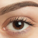 Eyebrow Transplants What No One Tells You