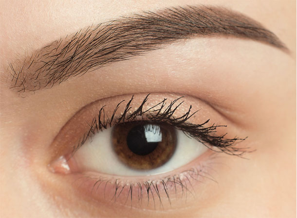 Eyebrow Transplants What No One Tells You