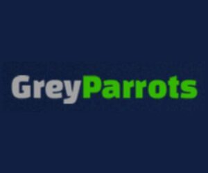 Grey Parrots of Texas