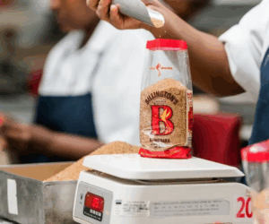 Demerara Sugar: Quality, Benefits, and the Importance of Packaging by a Retail Sugar Packer in Mauritius