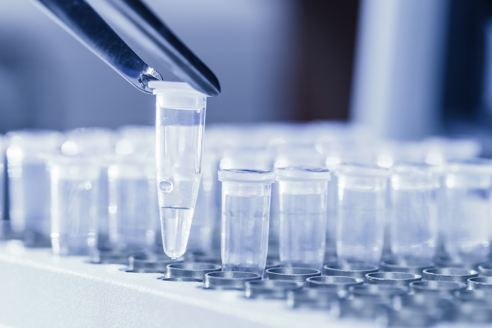 How DNA Testing Is Changing Family Trees Forever