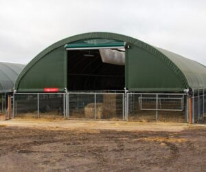 Modular pig housing ideas: Securing better flexibility for growing farms