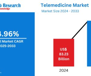 Telemedicine Market Size Forecast 2025-2033: Segmentation, Innovation, and Growth Drivers