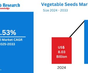 Vegetable Seeds Market Insights 2025-2033| Growth & Opportunity Analysis