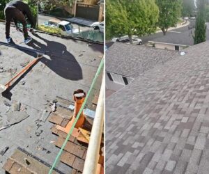 Best Roofing Companies in Los Angeles: Top Contractors for Installation, Repair & Replacement