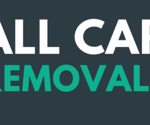unwanted car parts