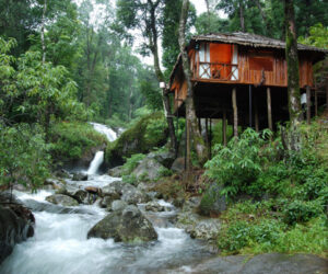 Discover the Magic of the Western Ghats with Coorg Tour Packages