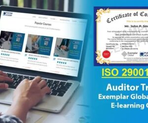 How ISO 29001 Auditors Contribute to Operational Excellence in Oil & Gas