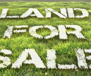 The Heart of Andhra’s Future: Secure Open Plots in Amaravati Today