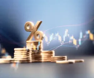 Large Cap Stocks Provide Stability for Long-Term Wealth Growth