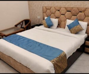 Hotels In Greater Noida
