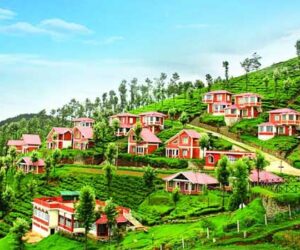 Discover Love in the Hills with Ooty Honeymoon Packages