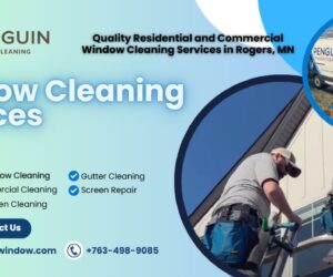 Penguin Window Cleaning