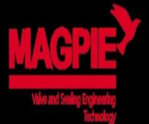 Magpie Valve Packing Gasket Co., Ltd
