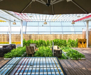 Why an Insulated Patio Cover Is the Best Upgrade for Outdoor Comfort