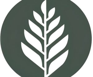 Outpatient Addiction TreatmentCedar Wellness Center offers comprehensive Outpatient Addiction Treatment programs designed to support recovery while allowing clients to continue with work, school, and family life. Our evidence-based approach combines personalized counseling, group therapy, and relapse prevention strategies to address the root causes of addiction. At Cedar Wellness Center, we provide a safe, compassionate environment where individuals can heal, grow, and achieve lasting sobriety without the need for full-time residential care.  Contact us 503 E 26th St, Tacoma, WA 98421 253-881-7001 https://cw.health