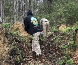 Harpers Tree Service