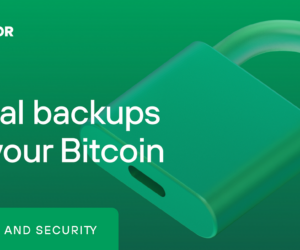 Trezor® Bridge | Introducing the New Trezor App