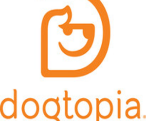 Dogtopia of Charlottesville