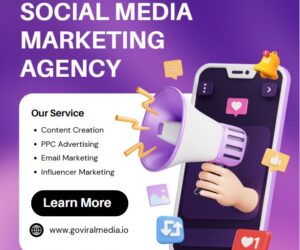 Content Creation & Branding Solutions to Make Your Brand Stand Out with Go Viral Media