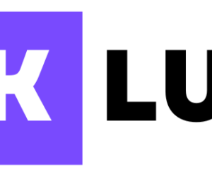 Transform Your Online Presence with Professional Web Design Windsor Services by Link Lumin