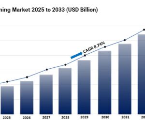 Anti-Jamming Market Size, Share And Growth Report 2025-2033